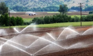 شبكات الري بالرش